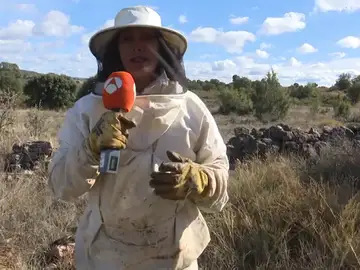 LA SEQUÍA RESIENTE LA PRODUCCIÓN DE MIEL LA SEQUÍA RESIENTE LA PRODUCCIÓN DE MIEL