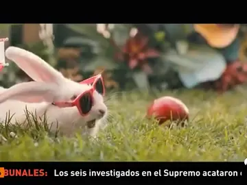 Una campaña que invita a los adultos a seguir el comportamiento de los conejos pretende aumentar la natalidad en Polonia Una campaña que invita a los adultos a seguir el comportamiento de los conejos pretende aumentar la natalidad en Polonia