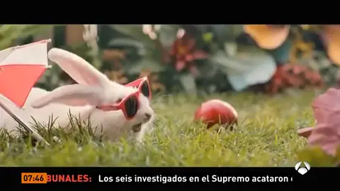 Una campaña que invita a los adultos a seguir el comportamiento de los conejos pretende aumentar la natalidad en Polonia Una campaña que invita a los adultos a seguir el comportamiento de los conejos pretende aumentar la natalidad en Polonia