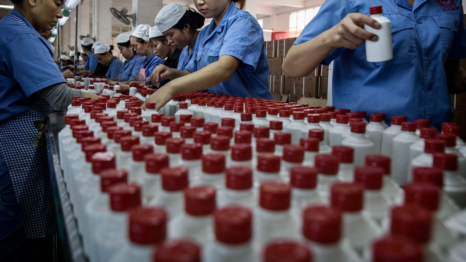 Trabajadores chinos organizando botellas de baijiu Trabajadores chinos organizando botellas de baijiu