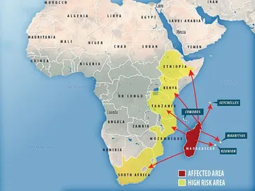 Países a los que puede llegar la peste Países a los que puede llegar la peste