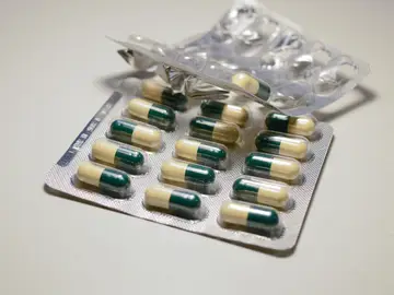 Silenciar genes de bacterias intestinales elimina su resistencia a antibioticos Silenciar genes de bacterias intestinales elimina su resistencia a antibioticos