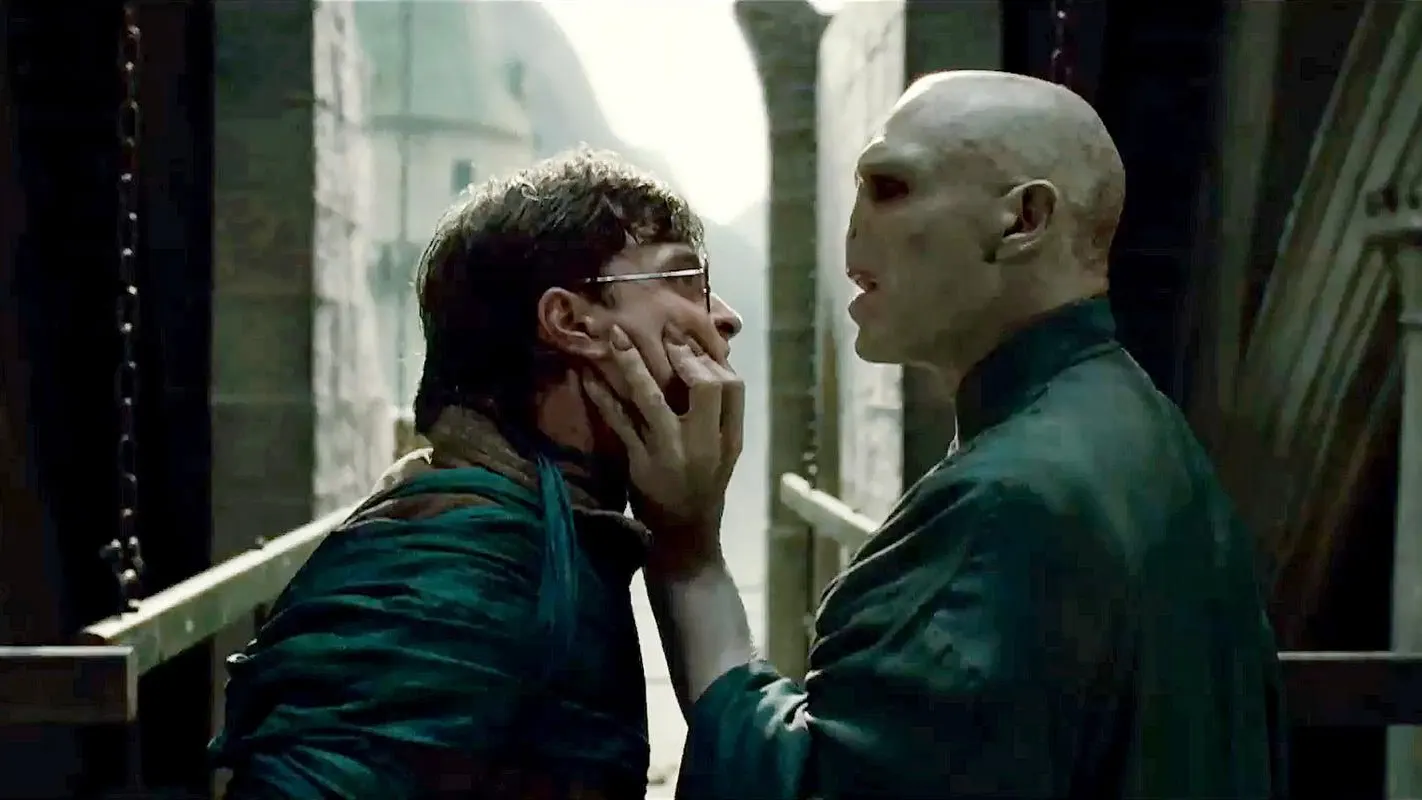 Harry Potter y Voldemort tenían el mismo destino Harry Potter y Voldemort tenían el mismo destino