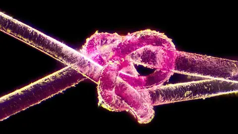 Cabello teñido visto con un microscopio de 40 aumentos Cabello teñido visto con un microscopio de 40 aumentos
