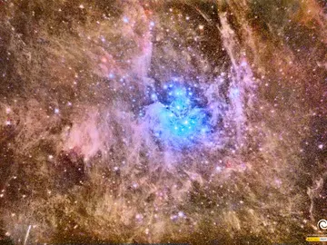 Una imagen de Las Pléyades captada desde Canarias, foto del día en la NASA Una imagen de Las Pléyades captada desde Canarias, foto del día en la NASA