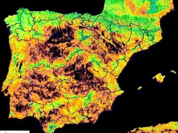 Estado de la vegetación en España a 31 de octubre de 2017