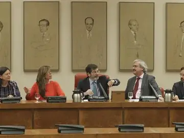 Integrantes la comisión territorial Integrantes la comisión territorial