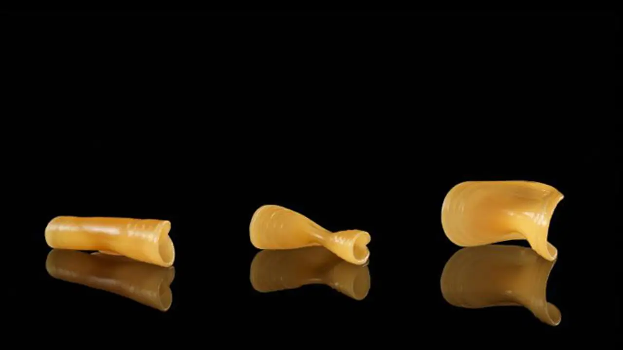 Tortellini sui generis