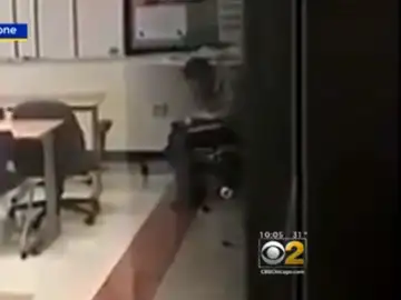 La profesora en un rincón esnifando droga La profesora en un rincón esnifando droga