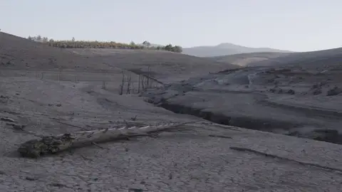 Las imágenes de la sequía Las imágenes de la sequía