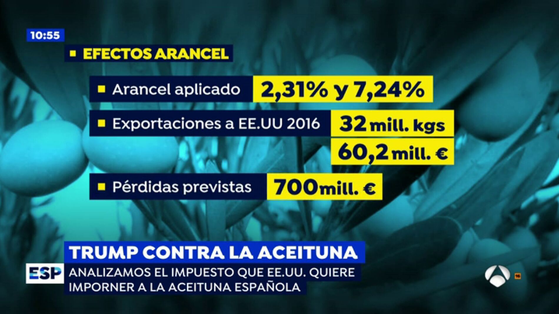 EP aceituna