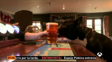 Un pub en el que ir a tomar algo con tu perro