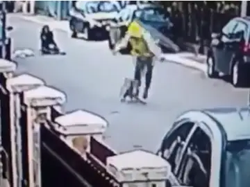 Un perro salva a una mujer de un robo Un perro salva a una mujer de un robo