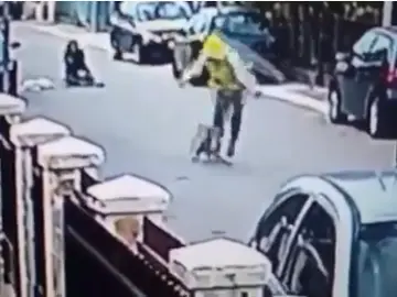 Un perro salva a una mujer de un robo Un perro salva a una mujer de un robo