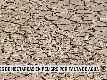 Situación extrema en los campos de regadío a consecuencia de la sequía Situación extrema en los campos de regadío a consecuencia de la sequía