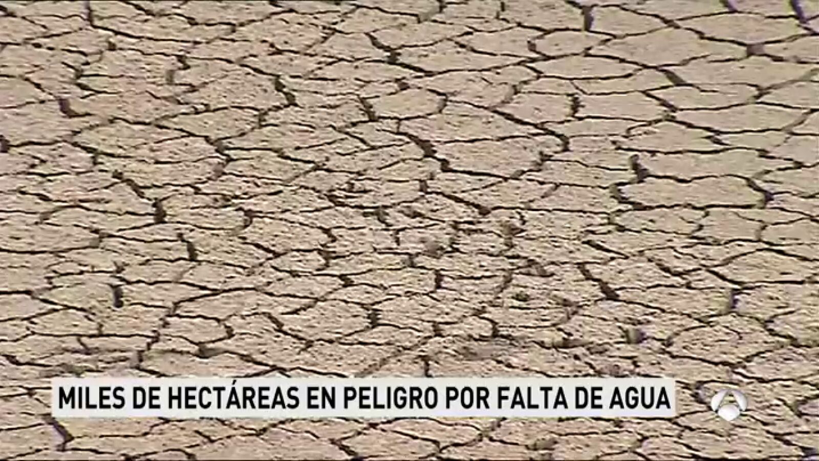 Situación extrema en los campos de regadío a consecuencia de la sequía