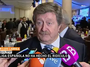 Juan Luis Larrea, presidente de la RFEF Juan Luis Larrea, presidente de la RFEF