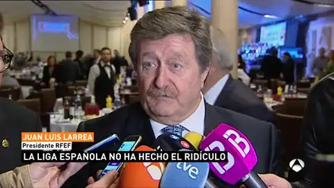 Juan Luis Larrea, presidente de la RFEF Juan Luis Larrea, presidente de la RFEF