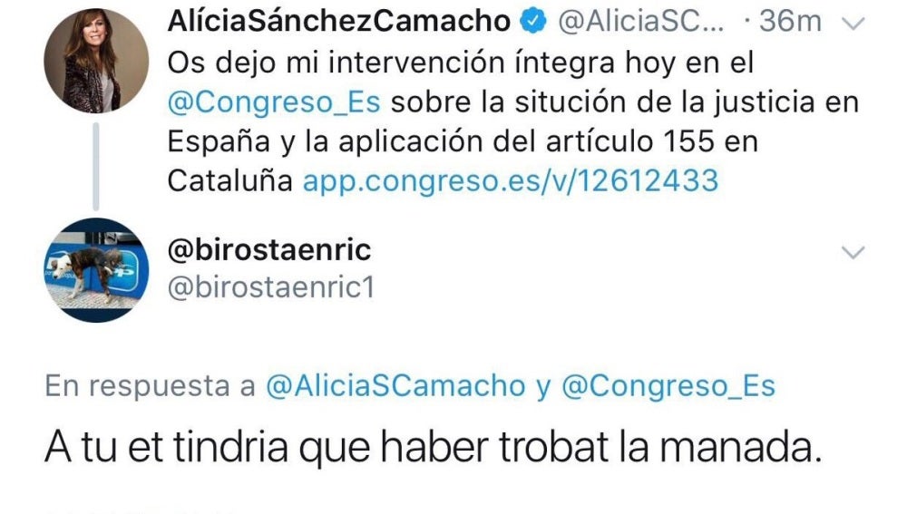 El PP denunciará a un tuitero por escribir a Sánchez Camacho: "A ti te tendría que haber encontrado 'La Manada'"