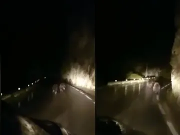 Persiguen a dos osos en una carretera de Cantabria Persiguen a dos osos en una carretera de Cantabria