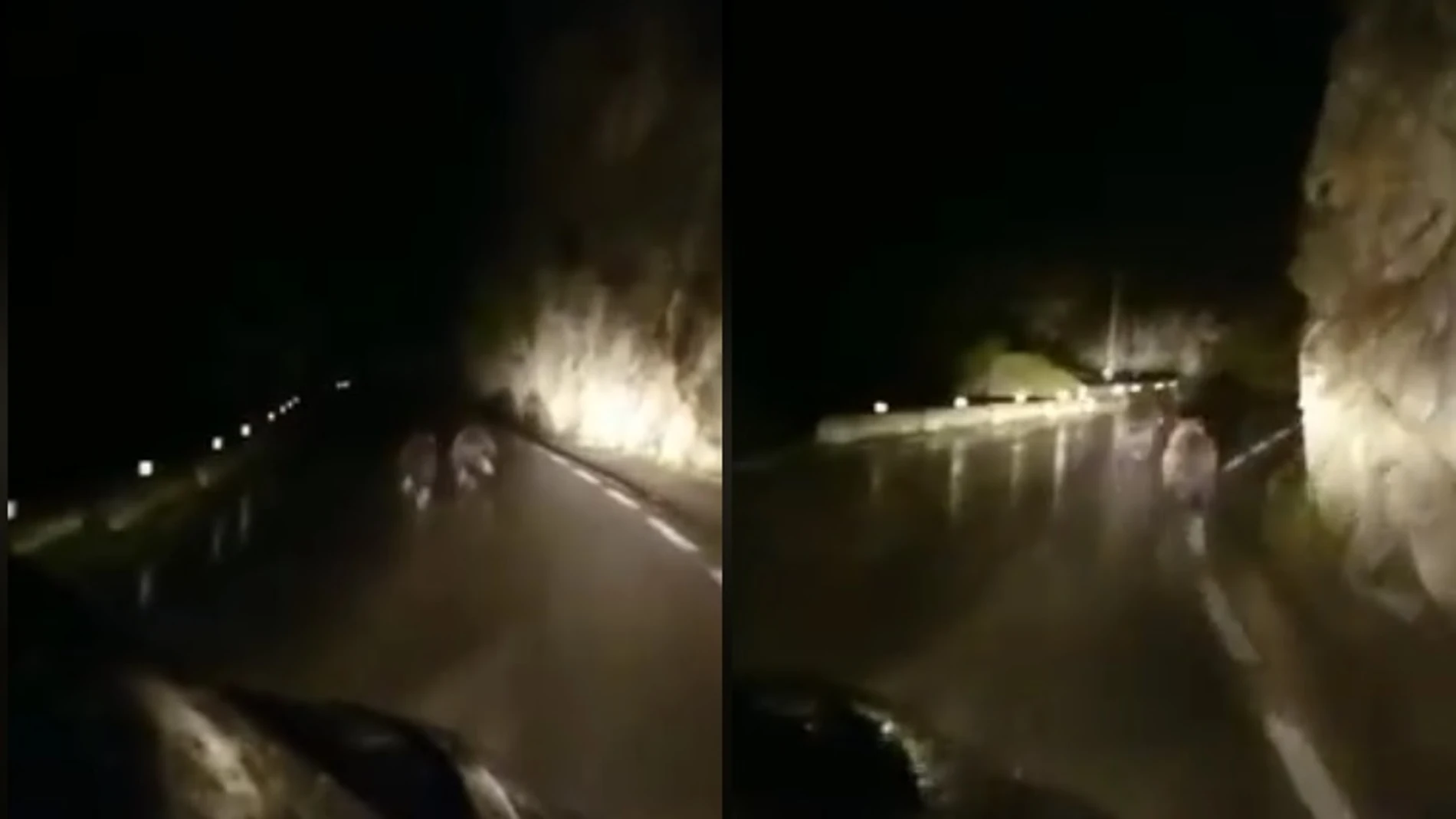 Persiguen a dos osos en una carretera de Cantabria Persiguen a dos osos en una carretera de Cantabria
