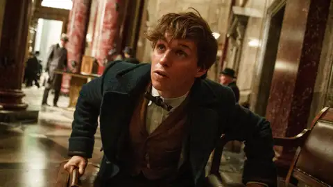 Eddie Redmayne en 'Animales fantásticos y dónde encontrarlos' Eddie Redmayne en 'Animales fantásticos y dónde encontrarlos'