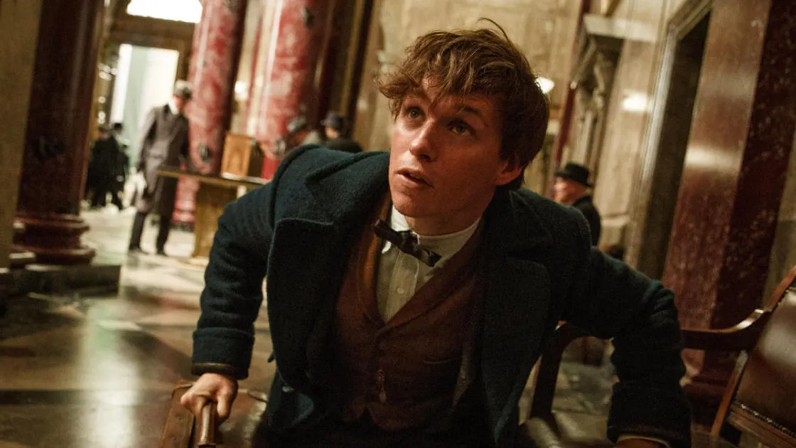 Eddie Redmayne en 'Animales fant&aacute;sticos y d&oacute;nde encontrarlos'