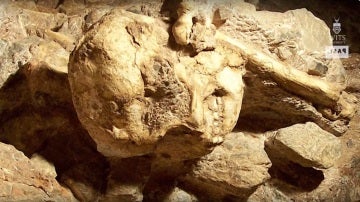 'Little Foot', el fósil más completo de 'Austrolopithecus'