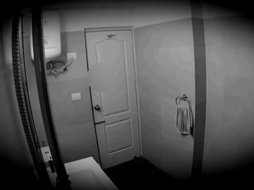 El fiscal pide 84 años de prisión para el hombre que espiaba a sus inquilinos con una cámara en el baño 