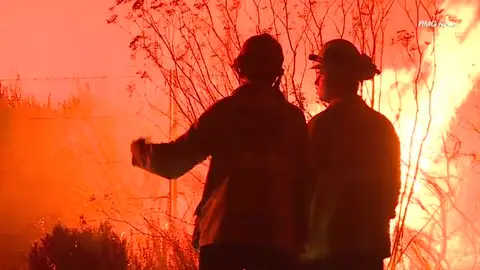 Declarada la alerta de emergencia por "peligro extremo de fuego" en el condado de Los Ángeles Declarada la alerta de emergencia por "peligro extremo de fuego" en el condado de Los Ángeles