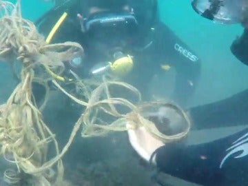 Buceadores voluntarios dedican sus horas libres a limpiar la basura del fondo marino
