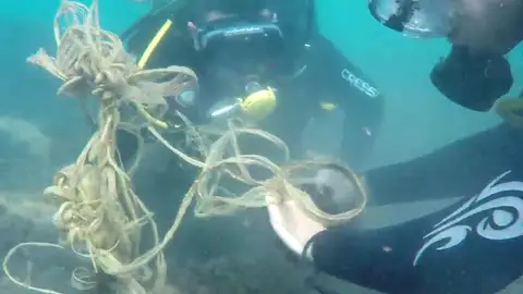 Buceadores voluntarios dedican sus horas libres a limpiar la basura del fondo marino Buceadores voluntarios dedican sus horas libres a limpiar la basura del fondo marino