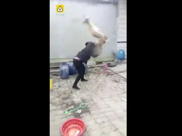 Captura del vídeo del maltrato Captura del vídeo del maltrato