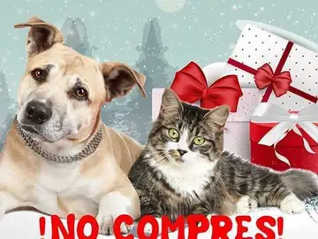 Campaña 'Un animal no es un juguete' Campaña 'Un animal no es un juguete'