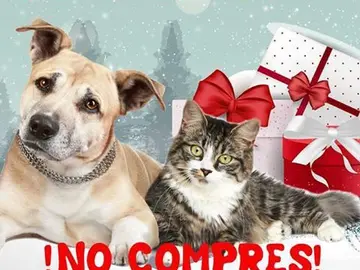 Campaña 'Un animal no es un juguete' Campaña 'Un animal no es un juguete'