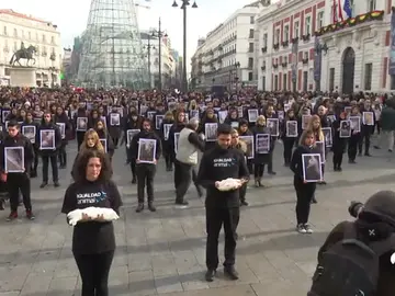 animalistas animalistas