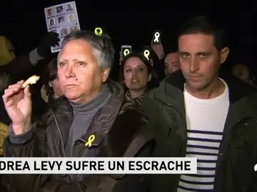 andrealevy andrealevy