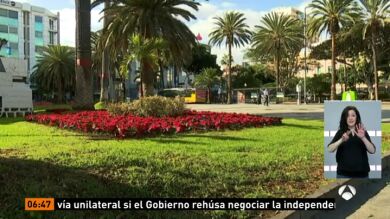 Los ayuntamientos de Canarias luchan contra los hurtos de las flores de Pascua: cada Navidad se roban una media de 12.000