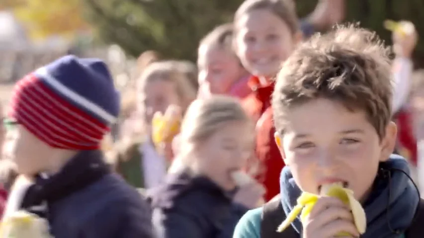 El pl&aacute;tano, una de las frutas m&aacute;s completas para los ni&ntilde;os