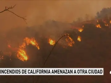 CALIFORNIA CALIFORNIA
