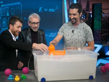 Descubre la fuerza de la arena Descubre la fuerza de la arena