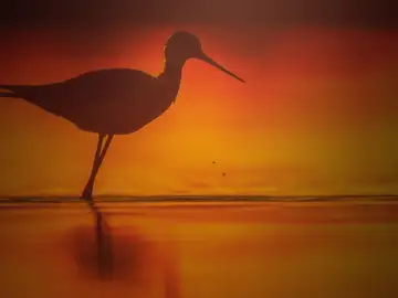La Naturaleza como solo la ven los especialistas La Naturaleza como solo la ven los especialistas