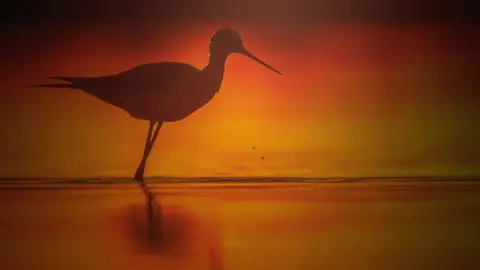 La Naturaleza como solo la ven los especialistas La Naturaleza como solo la ven los especialistas