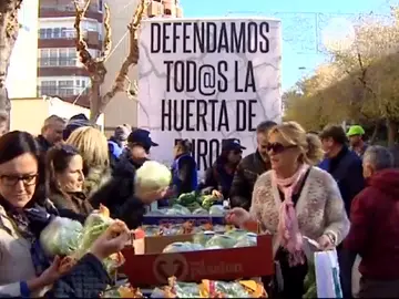 Regantes de Murcia exigen una solución frente a la sequía Regantes de Murcia exigen una solución frente a la sequía