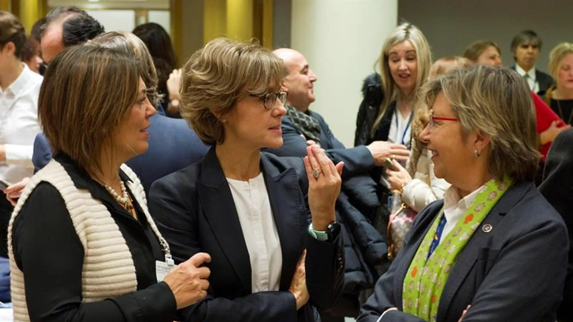 Tejerina en Bruselas Tejerina en Bruselas