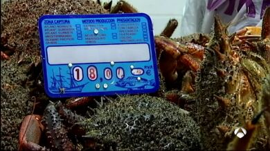 El marisco duplica su precio en el mercado el día de Nochebuena