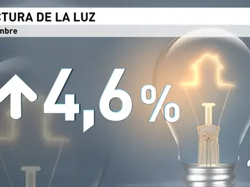 LUZ LUZ