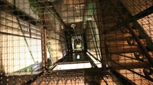 Imagen del hueco del ascensor que se descolg&oacute; en el centro de Madrid