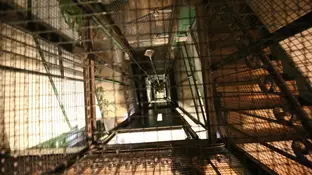 Imagen de archivo del hueco de un ascensor Imagen del hueco del ascensor que se descolgó en el centro de Madrid