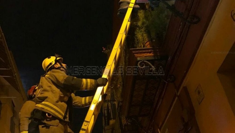 Los bomberos que rescataron al anciano